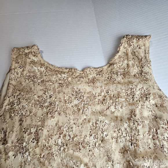 Designs Today's Women Elegant Lace Beige/Gold Dress/Jacket Size XL - Picture 14 of 16